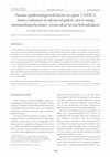 Research paper thumbnail of Human epidermal growth factor receptor 2 (HER-2) status evaluation in advanced gastric cancer using immunohistochemistry versus silver in situ hybridization