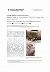 Research paper thumbnail of Ankilozan spondilit tanılı hastada adalimumabın tetiklediği paradoksal psoriasis