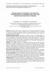 Research paper thumbnail of The brain drain syndrome and the role of responsible leadership in health care service organisation in Nigeria