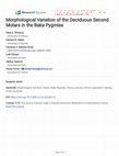 Research paper thumbnail of Morphological Variation of the Deciduous Second Molars in the Baka Pygmies