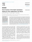 Research paper thumbnail of Novel Functions of the Septin Cytoskeleton