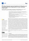 Research paper thumbnail of P-Cadherin Regulates Intestinal Epithelial Cell Migration and Mucosal Repair, but Is Dispensable for Colitis Associated Colon Cancer