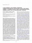 Research paper thumbnail of l-pGlu-(2-propyl)-l-His-l-ProNH2 attenuates 4-aminopyridine-induced epileptiform activity and sodium current: a possible action of new thyrotropin-releasing hormone analog for its anticonvulsant potential