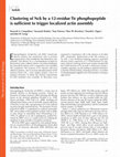 Research paper thumbnail of Clustering of Nck by a 12-residue Tir phosphopeptide is sufficient to trigger localized actin assembly