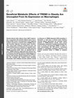 Research paper thumbnail of Beneficial Metabolic Effects of TREM2 in Obesity Are Uncoupled From Its Expression on Macrophages