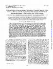 Research paper thumbnail of Oligonucleotide fingerprinting of isolates of Candida species other than C. albicans and of atypical Candida species from human immunodeficiency virus-positive and AIDS patients