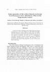 Research paper thumbnail of Some parasites of the yellow-finned sea bream Acanthopagrus latus (Houttuyn, 1782) in the Iraqi marine waters