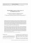 Research paper thumbnail of Chondrichthyes species in deep waters of the Mediterranean Sea