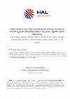 Research paper thumbnail of Mineralogical and Physico-Chemical Characterizations of Ferruginous Beidellite-Rich Clay from Agadir Basin (Morocco)