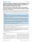 Research paper thumbnail of Hedgehog Signaling Antagonist Promotes Regression of Both Liver Fibrosis and Hepatocellular Carcinoma in a Murine Model of Primary Liver Cancer