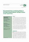 Research paper thumbnail of Musculoskeletal Stress and Adult Age Markers in the Krapina Hominid Collection: the Study of Femora