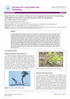 Research paper thumbnail of First Reports of Tobacco Witch Weed (Striga gesnerioides) Parasitizing Dalbergia melanoxylon and Richardia scabra in Zimbabwe