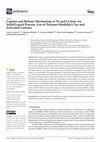 Research paper thumbnail of Capture and Release Mechanism of Ni and La Ions via Solid/Liquid Process: Use of Polymer-Modified Clay and Activated Carbons