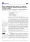 Research paper thumbnail of Reduced Graphene Oxide/Waste-Derived TiO2 Composite Membranes: Preliminary Study of a New Material for Hybrid Wastewater Treatment