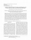 Research paper thumbnail of Evaluation of Antibacterial Properties of Eucalyptus spp and Plelargonium roseum Extractsin Common carp, Cyprinus carpio and Their Effectson Blood Indices