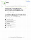 Research paper thumbnail of <i>Sporotrapoidites erdtmanii</i>(Nagy) Nagy, a trapaceous pollen species pertaining to the Oligocene to Pliocene genus<i>Hemitrapa</i>Miki