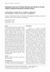 Research paper thumbnail of Simultaneous Decrease of Plasma Obestatin and Ghrelin Levels after a High-Carbohydrate Breakfast in Healthy Women