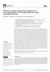 Research paper thumbnail of Dual-Tree Complex Wavelet Input Transform for Cyst Segmentation in OCT Images Based on a Deep Learning Framework