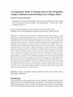 Research paper thumbnail of A Comparative Study of Nataraja Icons at the Virupaksha Temple, Pattadakal and the Kailasa Cave Temple, Ellora