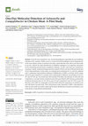 Research paper thumbnail of One-Day Molecular Detection of Salmonella and Campylobacter in Chicken Meat: A Pilot Study