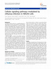 Research paper thumbnail of Cellular signaling pathways modulated by influenza infection in HEK293 cells