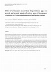 Research paper thumbnail of Effect of arbuscular mycorrhizal fungi (Glomus spp.) on growth and arsenic uptake of vetiver grass (Chrysopogon zizanioides L.) from contaminated soil and water systems