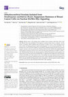 Research paper thumbnail of Dihydroconiferyl Ferulate Isolated from Dendropanax morbiferus H.Lév. Suppresses Stemness of Breast Cancer Cells via Nuclear EGFR/c-Myc Signaling