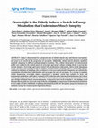 Research paper thumbnail of Overweight in the Elderly Induces a Switch in Energy Metabolism that Undermines Muscle Integrity