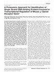 Research paper thumbnail of A proteomics approach for identification of single strand DNA-binding proteins involved in transcriptional regulation of mouse mu opioid receptor gene