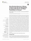 Research paper thumbnail of Slow Bursting Neurons of Mouse Cortical Layer 6b Are Depolarized by Hypocretin/Orexin and Major Transmitters of Arousal