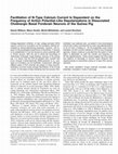 Research paper thumbnail of Facilitation of N-Type Calcium Current Is Dependent on the Frequency of Action Potential-Like Depolarizations in Dissociated Cholinergic Basal Forebrain Neurons of the Guinea Pig