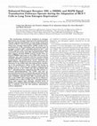 Research paper thumbnail of Enhanced Estrogen Receptor (ER) α, ERBB2, and MAPK Signal Transduction Pathways Operate during the Adaptation of MCF-7 Cells to Long Term Estrogen Deprivation