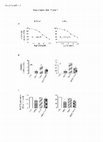 Research paper thumbnail of Supplementary Figure 2 from A Novel Experimental Heme Oxygenase-1–Targeted Therapy for Hormone-Refractory Prostate Cancer