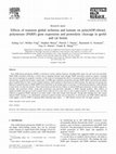 Research paper thumbnail of Effects of transient global ischemia and kainate on poly(ADP-ribose) polymerase (PARP) gene expression and proteolytic cleavage in gerbil and rat brains