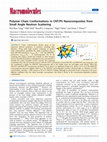 Research paper thumbnail of Polymer Chain Conformations in CNT/PS Nanocomposites from Small Angle Neutron Scattering