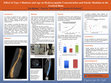 Research paper thumbnail of Effect of Type 1 Diabetes and Age on Hydroxyapatite Concentration and Elastic Modulus in the Cortical Bone