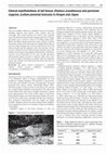 Research paper thumbnail of Clinical manifestations of tall fescue (Festuca arundinacea) and perennial ryegrass (lolium perenne) toxicosis in Oregon and Japan