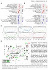 Research paper thumbnail of Supplementary Figure S4 from Beneficial Effects of Mifepristone Treatment in Patients with Breast Cancer Selected by the Progesterone Receptor Isoform Ratio: Results from the MIPRA Trial