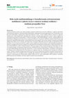 Research paper thumbnail of Rola węzła multimodalnego w kształtowaniu zrównoważonej mobilności i jakości życia w mieście średniej wielkości – studium przypadku Nysy