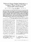 Research paper thumbnail of Enhanced oxygen radical production in a transgenic mouse model of familial amyotrophic lateral sclerosis