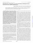 Research paper thumbnail of Identification of Nucleolin as an AU-rich Element Binding Protein Involved in bcl-2 mRNA Stabilization