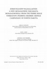 Research paper thumbnail of JORMUNGANDR WALHALLAENSIS: A NEW MOSASAURINE (SQUAMATA: MOSASAUROIDEA) FROM THE PIERRE SHALE FORMATION (PEMBINA MEMBER: MIDDLE CAMPANIAN) OF NORTH DAKOTA