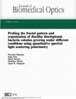 Research paper thumbnail of Probing the fractal pattern and organization ofBacillus thuringiensisbacteria colonies growing under different conditions using quantitative spectral light scattering polarimetry