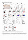 Research paper thumbnail of Supplementary Data from Loss of Optineurin Drives Cancer Immune Evasion via Palmitoylation-Dependent IFNGR1 Lysosomal Sorting and Degradation