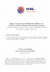 Research paper thumbnail of Energy response and identification efficiency of CsI(Tl) crystals irradiated with energetic protons