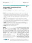 Research paper thumbnail of Phylogenetic distribution of plant snoRNA families