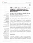 Research paper thumbnail of A Detailed Analysis of the BR1 Locus Suggests a New Mechanism for Bolting after Winter in Sugar Beet (Beta vulgaris L.)