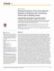 Research paper thumbnail of Divergent Evolution of the Transcriptional Network Controlled by Snf1-Interacting Protein Sip4 in Budding Yeasts