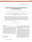 Research paper thumbnail of Typing of Egyptian Citrus tristeza virus (CTV) Isolates Based on the Capsid Protein Gene