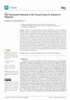 Research paper thumbnail of The Functional Network of the Visual Cortex Is Altered in Migraine